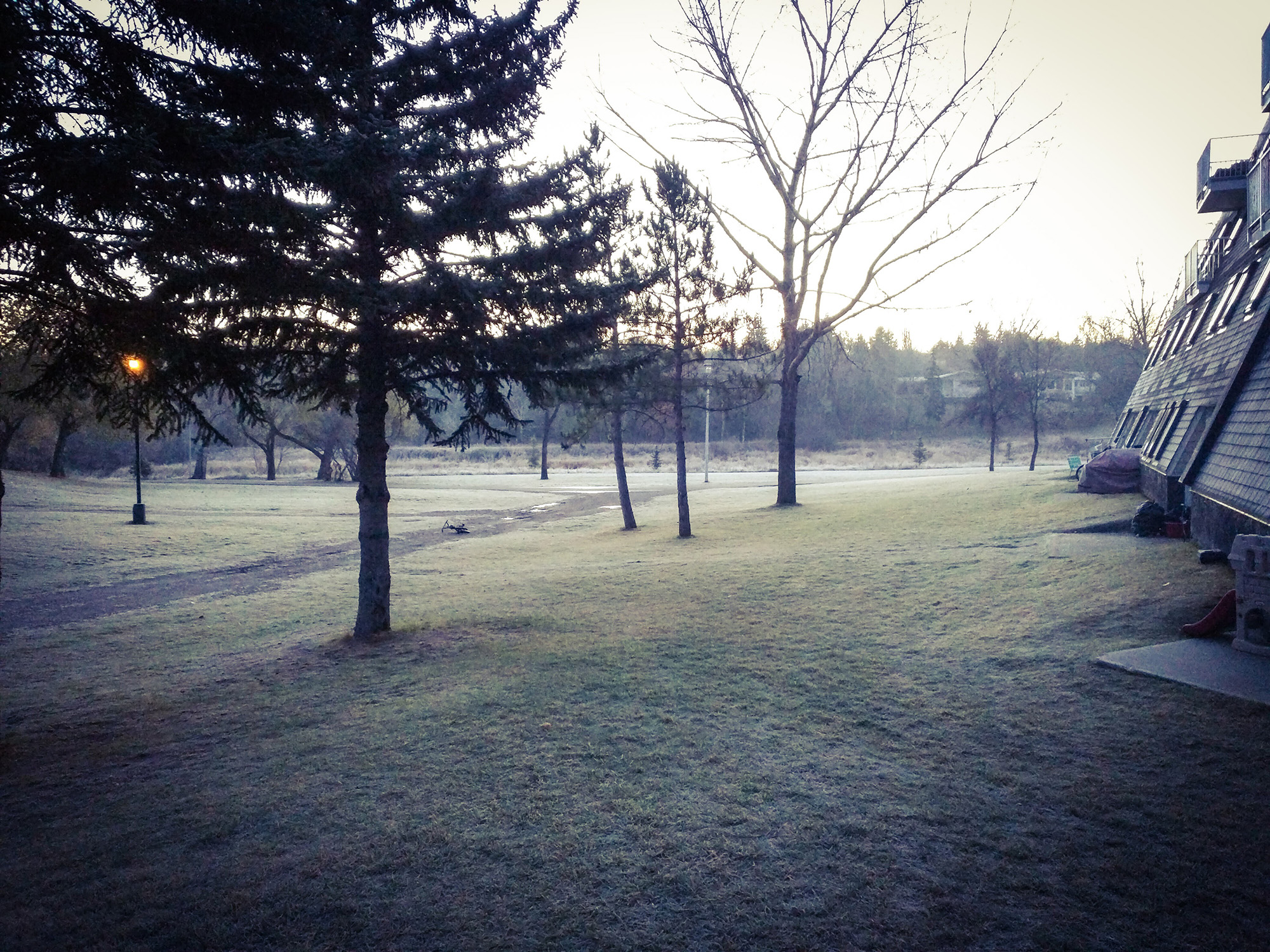 A glum, frosty winter morning